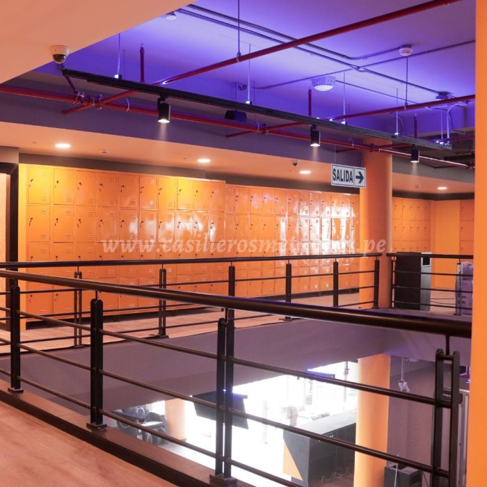 smart fit lockers metalicos industriales