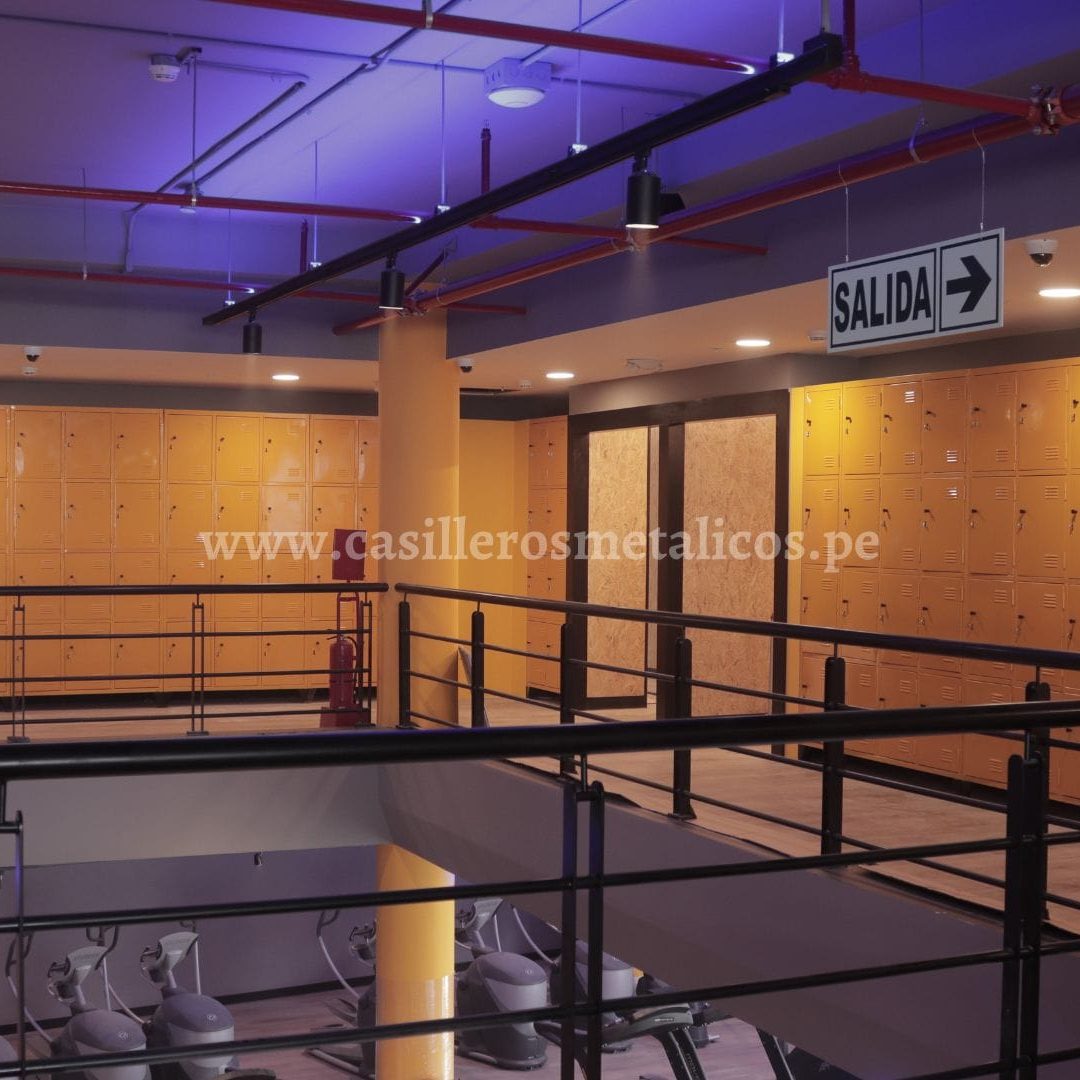 locker proyecto gimnasio